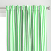 Apple Green and White Wide Stripes