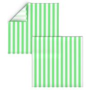 Apple Green and White Wide Stripes