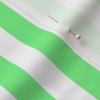 Apple Green and White Wide Stripes