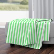 Apple Green and White Wide Stripes