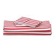 Coral and White 1 inch Wide Stripes