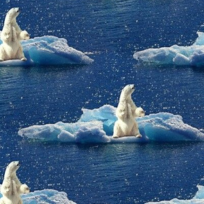 floating polar bear