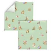 Peter Rabbit Tossed Soft Green Gingham