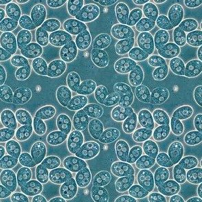 Tetrahymena Paisley Blueprint