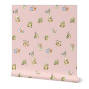 Peter Rabbit Character Toss Light Pink Gingham