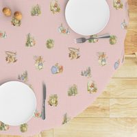 Peter Rabbit Character Toss Light Pink Gingham