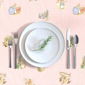 Peter Rabbit Character Toss Light Pink Gingham