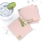 Peter Rabbit Character Toss Light Pink Gingham