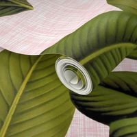 Palm In Palm ~ Dauphine Pink and  White_Linen 