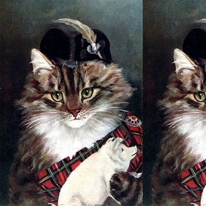 Cats Maine Coon Scotland Scottish traditional costumes sashes tartan chequered checked pigs pins brooches feathers hats clan chief Chieftain cultural cultures traditions vintage retro Anthropomorphic whimsical animals