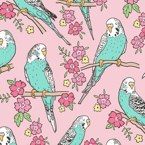 Budgie Birds With Blossom Flowers on Pink