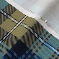 Mackenzie / Seaforth Highlander tartan, 10", muted colors