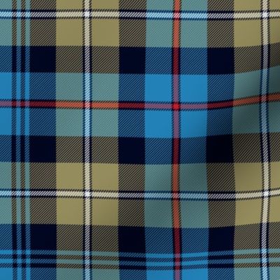 Mackenzie / Seaforth Highlander tartan, 10", muted colors