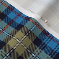 Mackenzie / Seaforth Highlander tartan, 6", muted colors