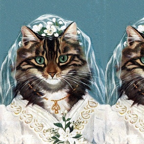wedding gowns bridal brides marriage cats maine coon wedding veil flowers lilies vintage retro kitsch whimsical anthropomorphic