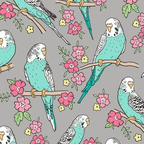 Budgie Birds With Blossom Flowers on Grey