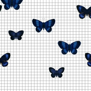 Blue Butterfly Fabric, Wallpaper and Home Decor | Spoonflower