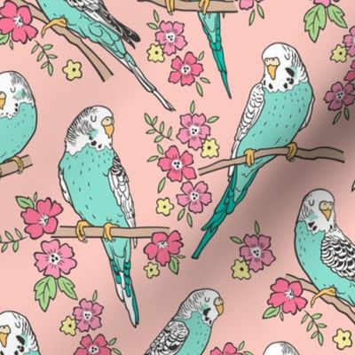 Budgie Birds With Blossom Flowers on Peach