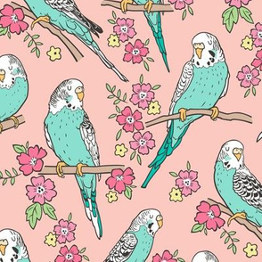 Budgie Birds With Blossom Flowers on Peach
