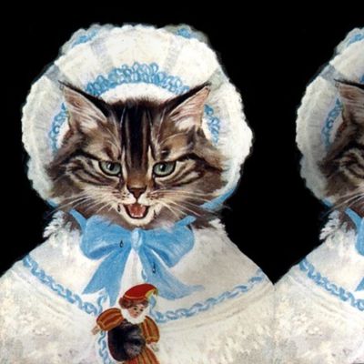 cats Maine Coon EGL elegant Gothic Lolita Victorian bows hats bonnets lace dolls jesters clowns vintage retro Anthropomorphic  whimsical animals