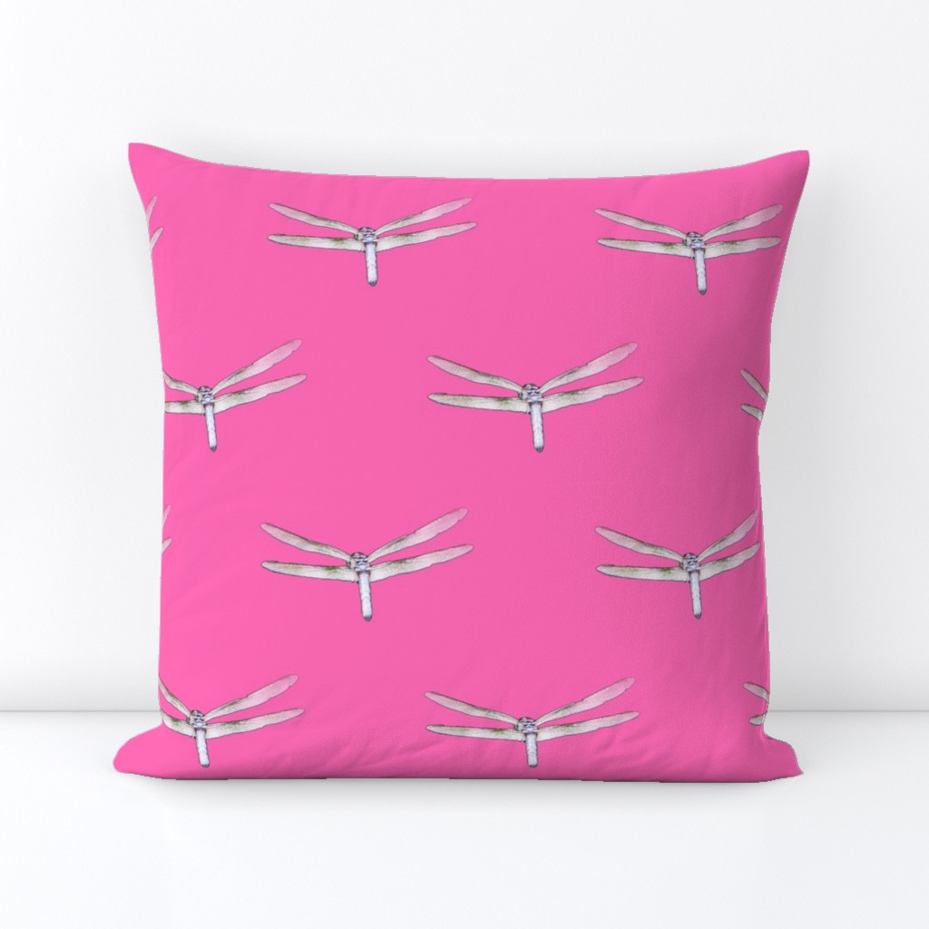 Dragonfly On Hot Pink
