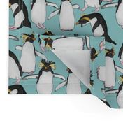 Rockhopper Penguins on Light Blue