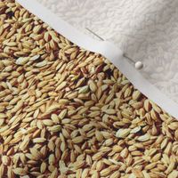 Russian rice grains