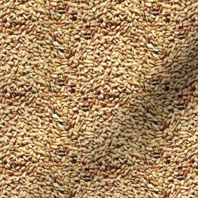 Russian rice grains