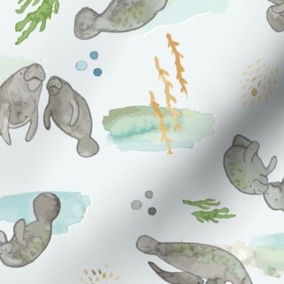  Olin's Watercolor Mama & Baby Manatees