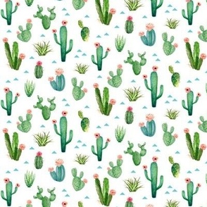 TINY Watercolor Cactus Garden