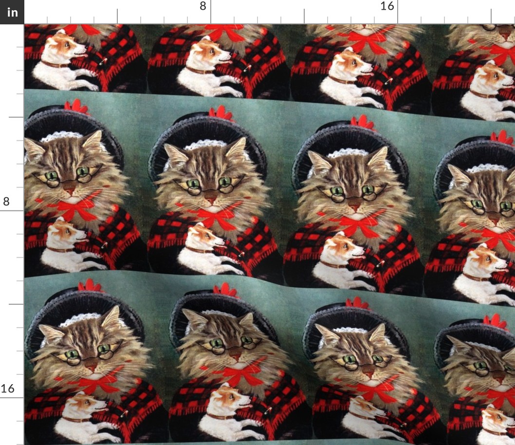 Cats Maine Coon dogs puppy puppies Jack Russell Terriers Victorian grandmothers spectacles shawls checkered chequered tartan vintage retro Anthropomorphic whimsical animals 