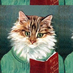 cats Maine Coon reading books vintage retro Anthropomorphic whimsical animals