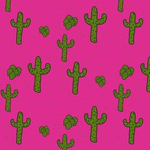Hot Pink Desert Cactus 