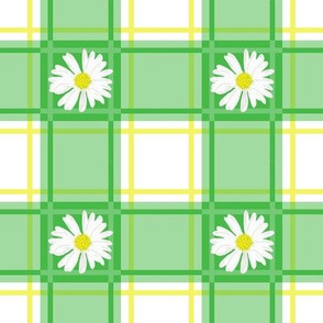 Daisies on Green Plaid