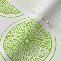 Lime Slices on White