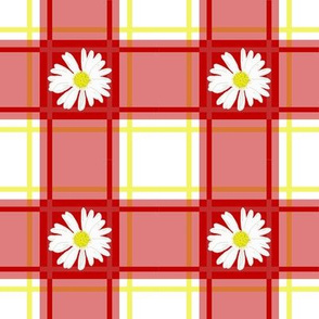 Daisies on Red Plaid