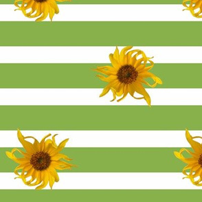 Sunflowers on Green and White Stripes