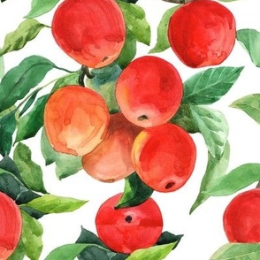 Bright summer apples 