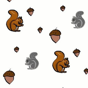 Squirrels and Acorns