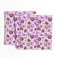 Watercolor plums on white background