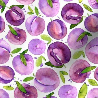 Watercolor plums on white background