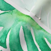 watercolor monstera leaf