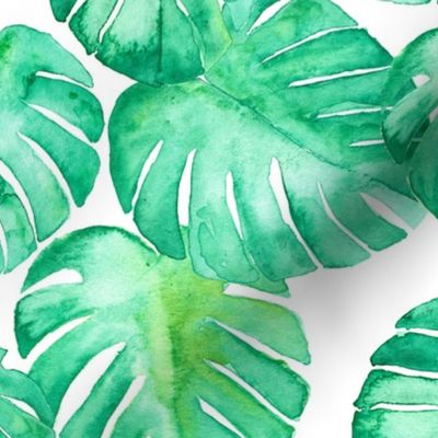 watercolor monstera leaf