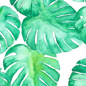 watercolor monstera leaf