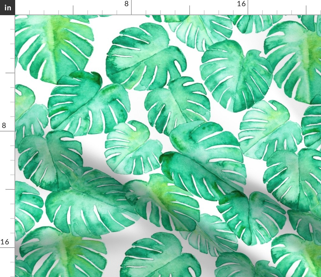 watercolor monstera leaf