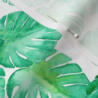(small scale) watercolor monstera leaf