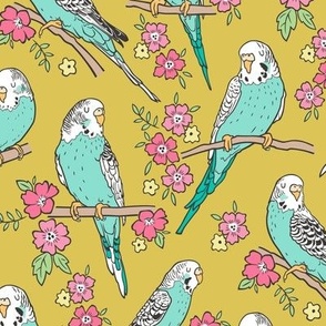 Budgie Birds With Blossom Flowers on Gold Yellow Mustard
