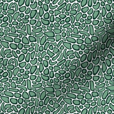 Splotches (sage on dark green)