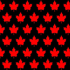 Black and Red Canada Day Small scale