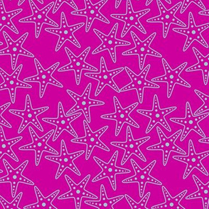 Starfish Background (light teal on pink)